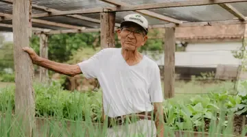 Sustainable Agriculture image