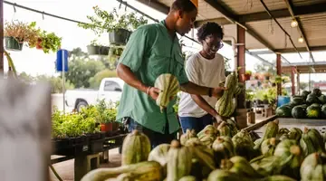 Sustainable Food image